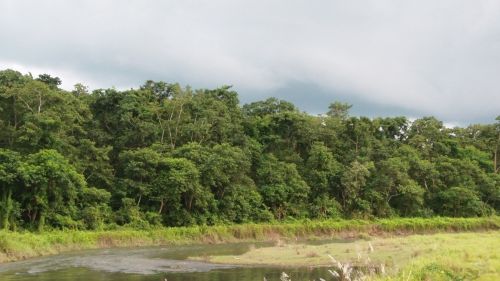 River Bank In Chitwan, Nepal.