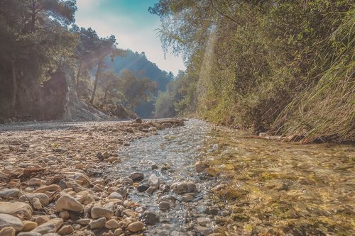 river bed  sun rays  water