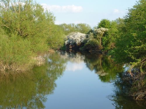 river cherwell oxfordshire nature