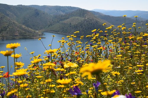 river douro  landscape  mountains