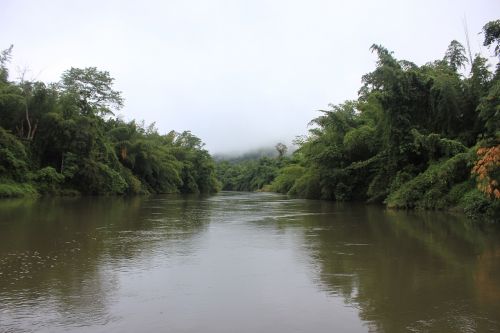 river in asia thailand jungle