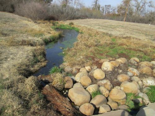 River In Drought 2