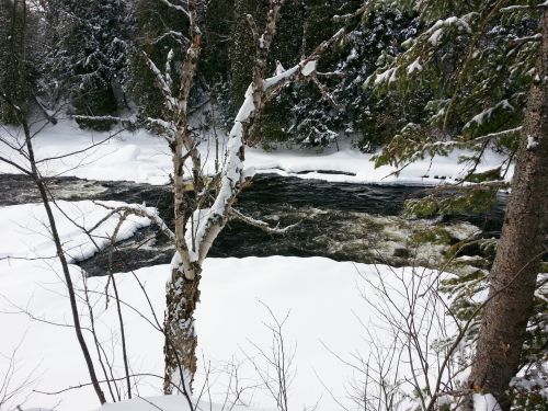 River In Winter