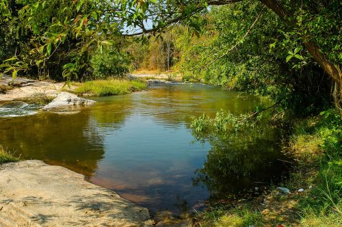 river landscape landscape forest