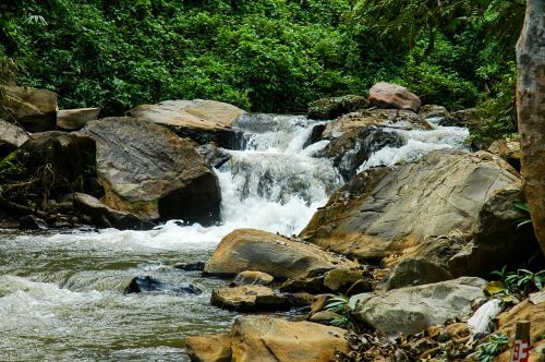 river landscape river flow