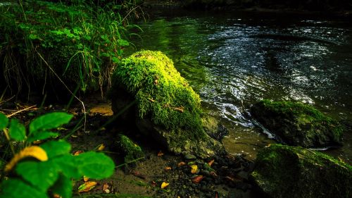 river landscape moss krauchenwies