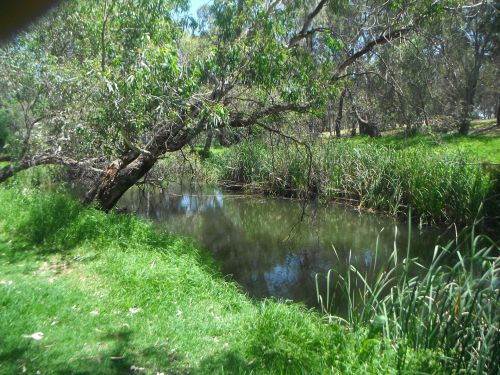 River Torrens