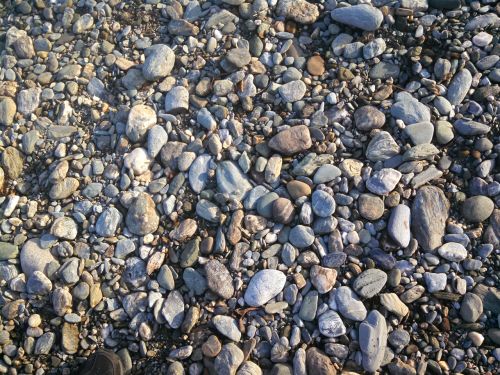 riverbank rocks stones