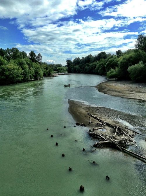 rivers water trees