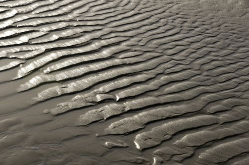 Rivulets In The Sand
