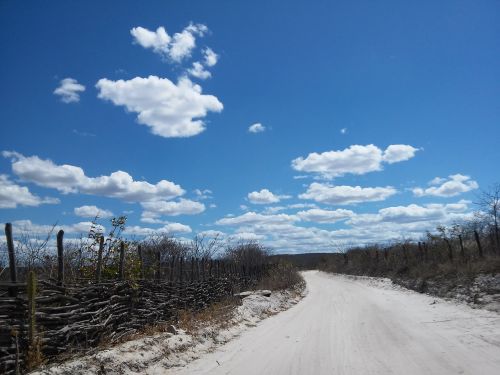 road caatinga semiarid