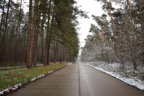 road snow winter