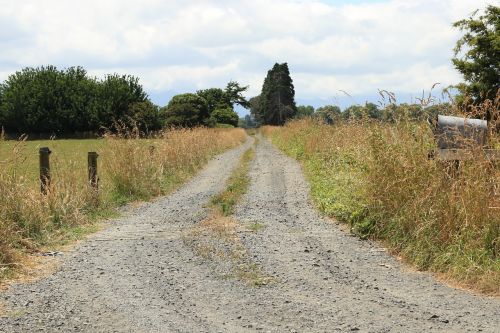 road rural nature