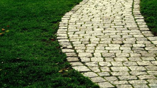 road grass cobblestone