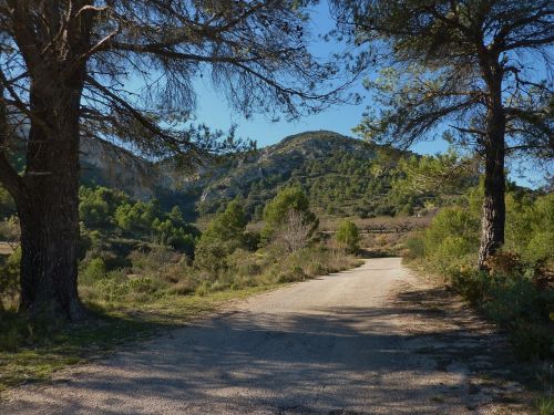 road track spain