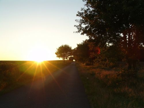 road away sunset