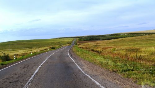 road nature landscape