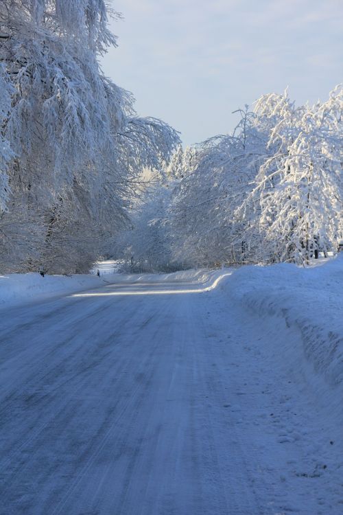 road snow teutoburg forest