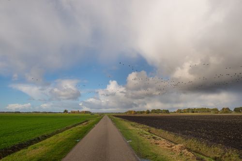 road dutch sky