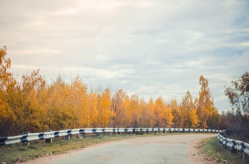 road autumn nature