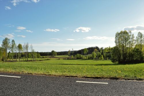 road bed grass