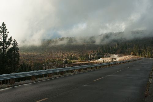 road light weather