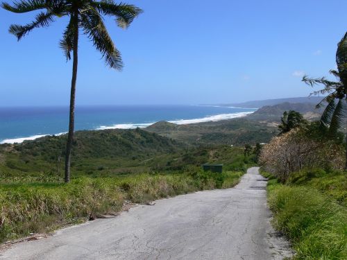 road beach tropical