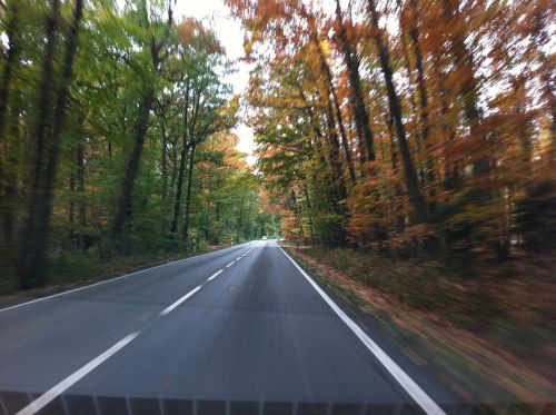 road autumn speed
