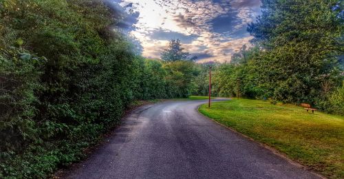 road nature landscape