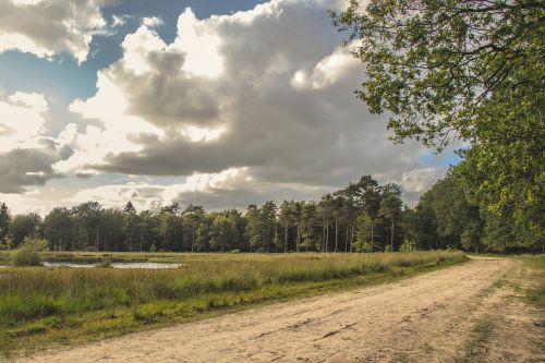 road nature landscape