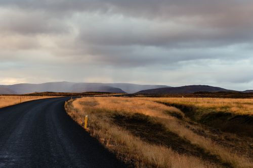 road path grass