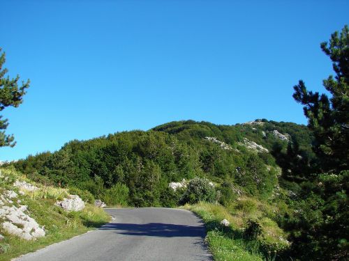 road mountain nature