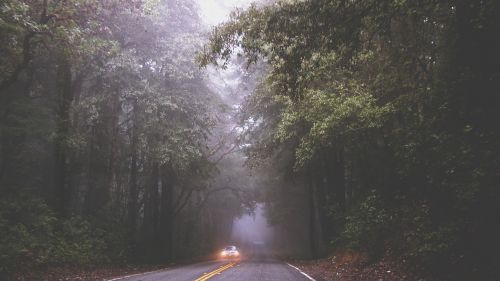 road fog mist