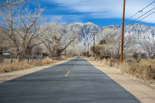 road nature landscape