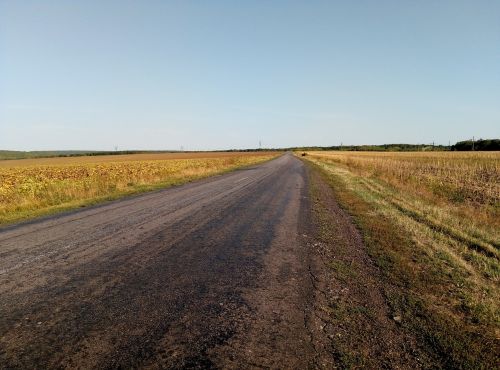 road field the way