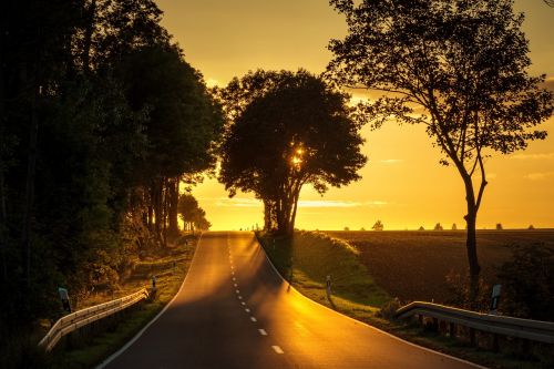 road sunset back light