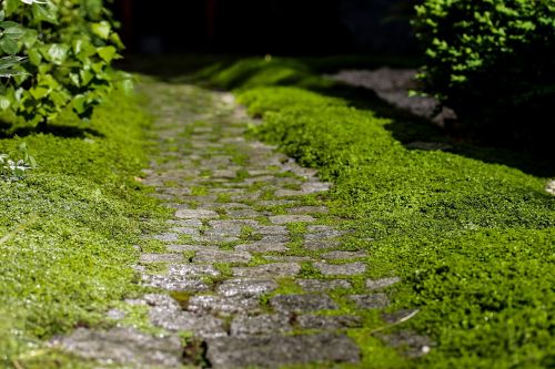 road pavement kőjárda