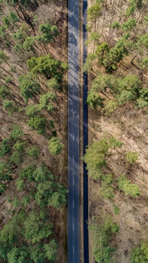 road nature landscape