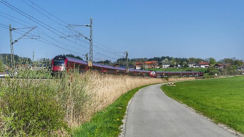 road  grass  nature