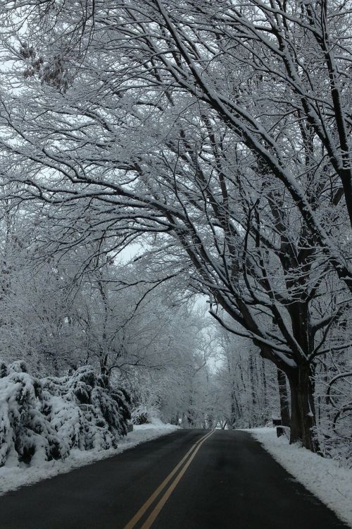 road journey snow