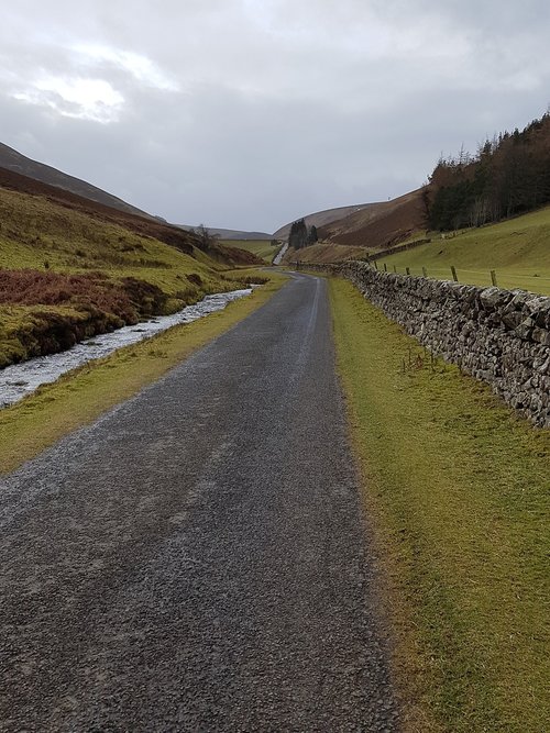 road  nature  landscape