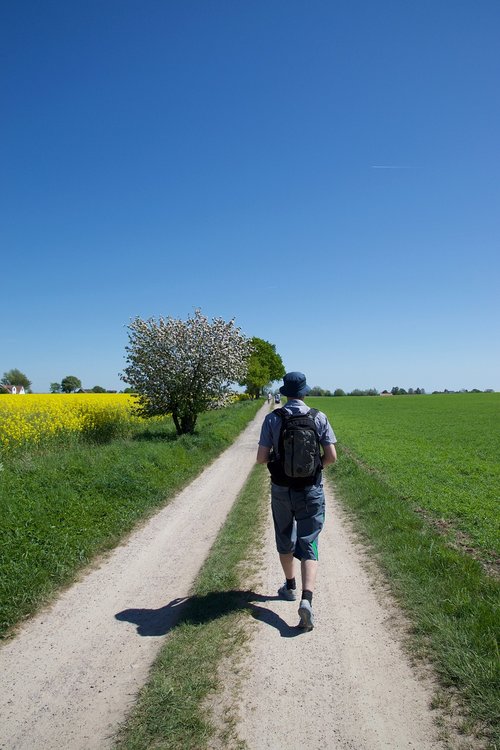 road  outdoors  nature