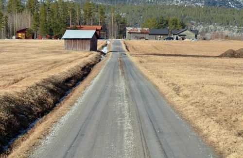 road landscapes nature