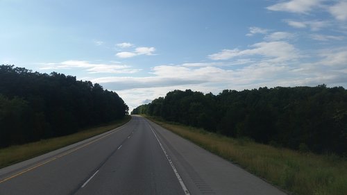 road  turning  trees