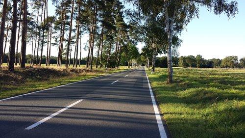 road  avenue  landscape