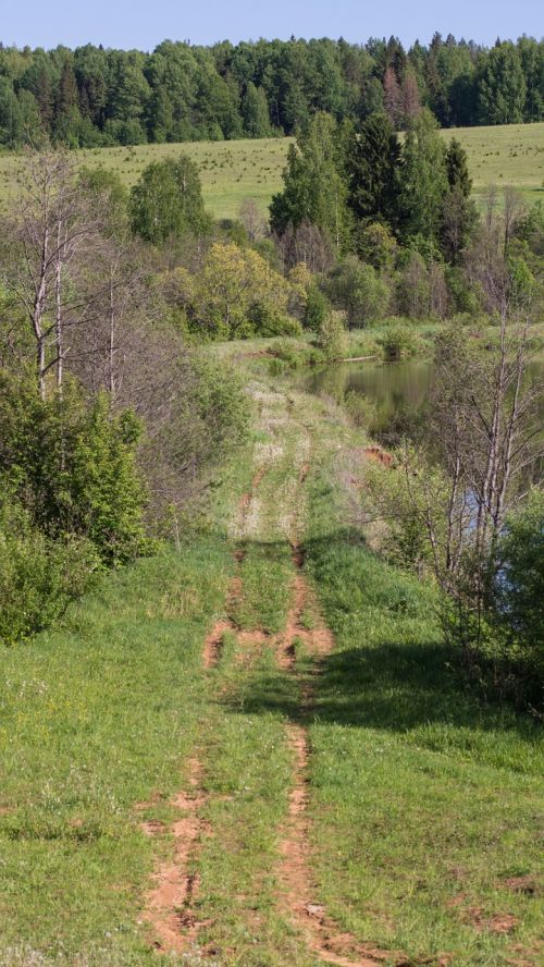 road trail grass