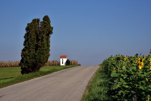 road  away  field