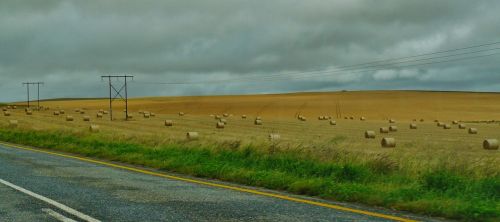road landscape hay bales