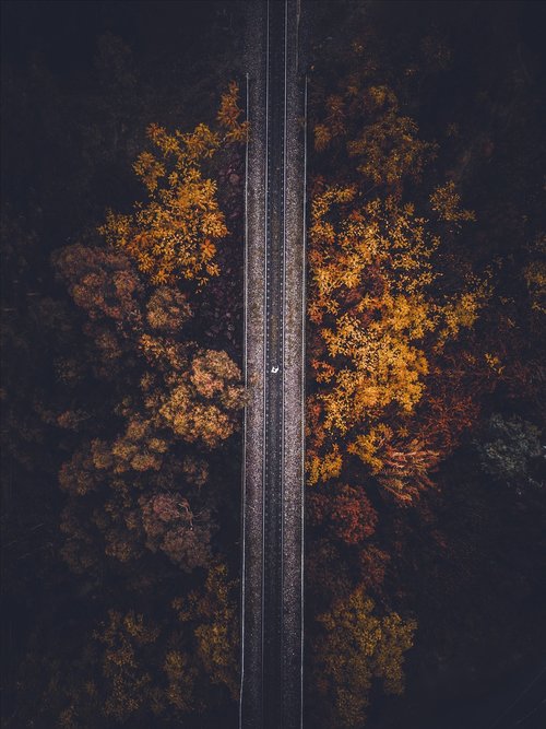 road  autumn  landscape