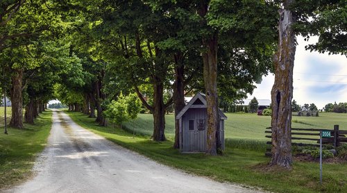 road  landscape  nature